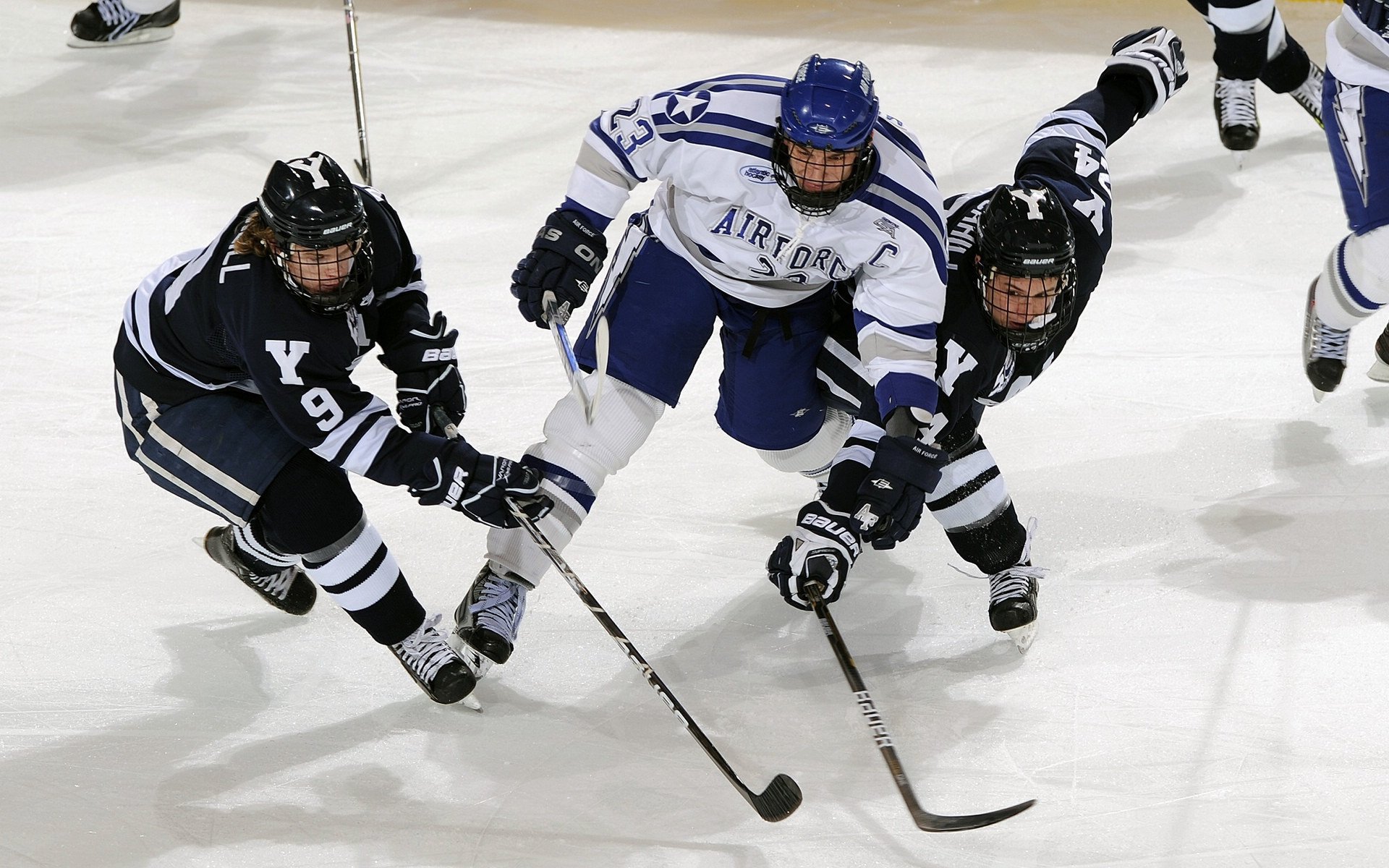亚洲羽毛球锦标赛 国羽实现单项包揽